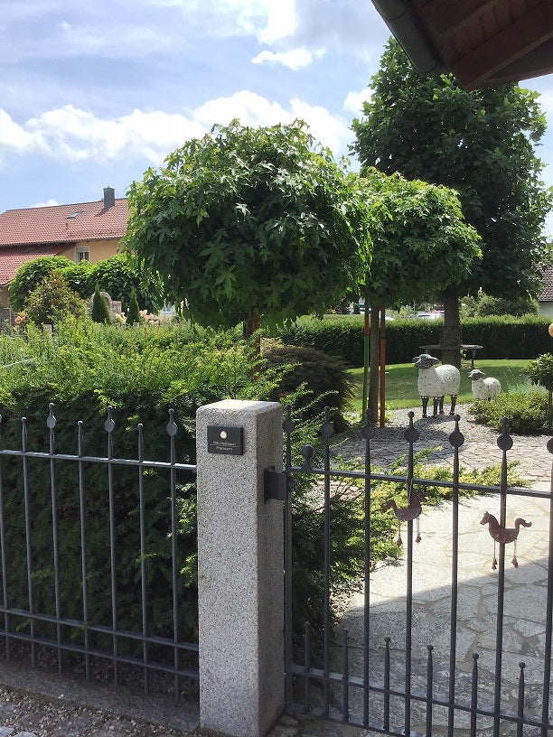 Metzler Funkklingel kabellos Edelstahl V2A | Aufputz Türklingel IP67 | 150m Reichweite | Vitus