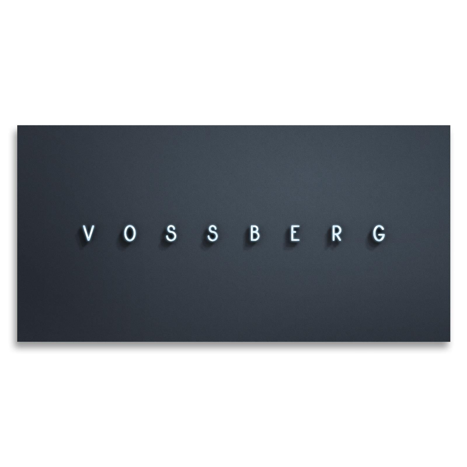 LED-Firmenschild in Anthrazit mit 3D-Profilbuchstaben