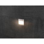 LED-Leuchte | theLeda D S