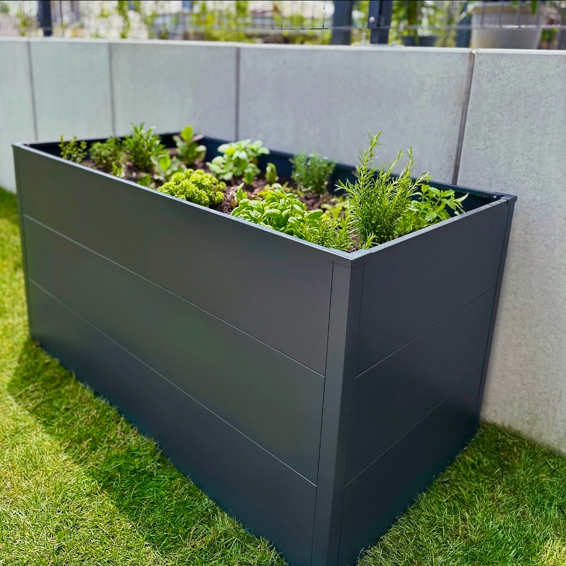 Metzler Hochbeet L für den Garten | Pulverbeschichtet | 150 x 75 x 77 cm