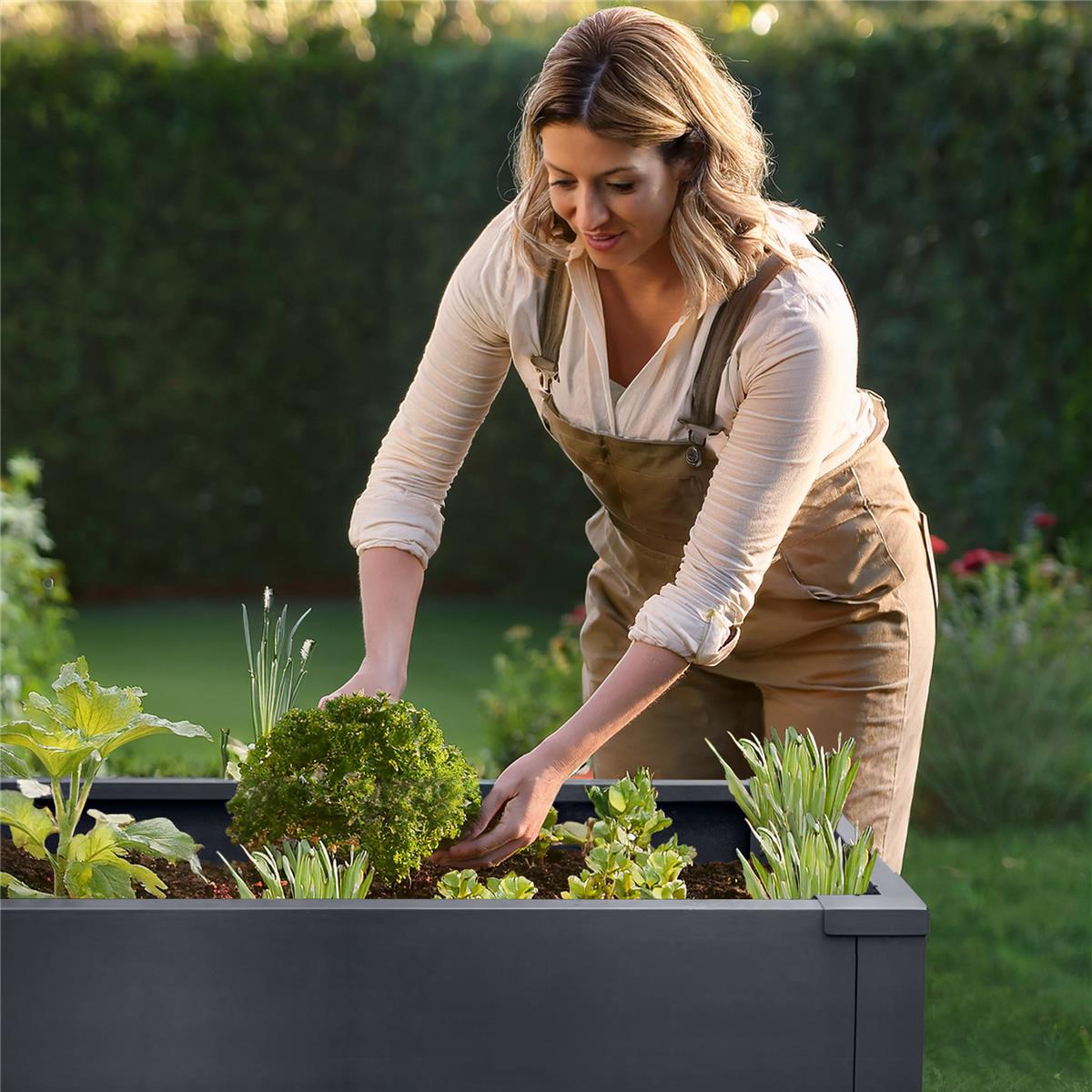 Metzler Hochbeet M für den Garten | Pulverbeschichtet | 100 x 50 x 77 cm