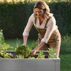 Metzler Hochbeet M für den Garten | Pulverbeschichtet | 100 x 50 x 77 cm