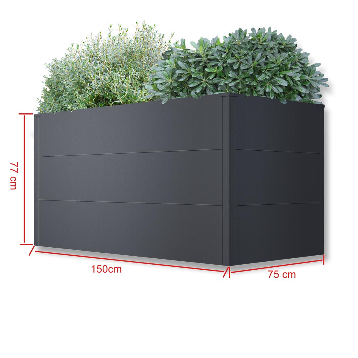 Metzler Hochbeet L für den Garten | Pulverbeschichtet | 150 x 75 x 77 cm