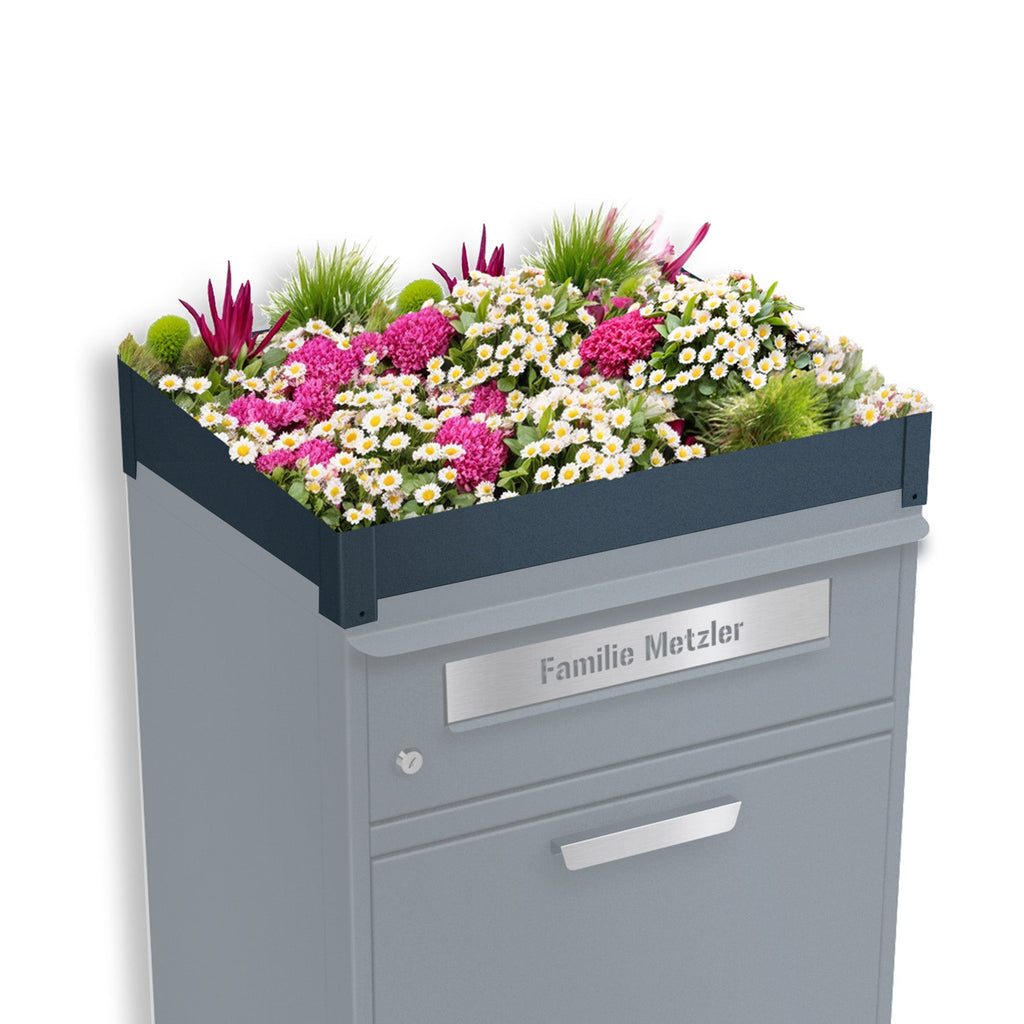Metzler Pflanzdach für Paketbox | Anthrazit RAL 7016 | Dachbegrünung für Paketbriefkasten | für Modellreihe Bispo