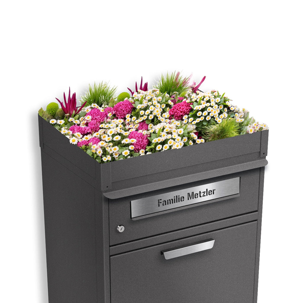 Metzler Pflanzdach für Paketbox | Dachbegrünung für Paketbriefkasten | für Modellreihe Bispo