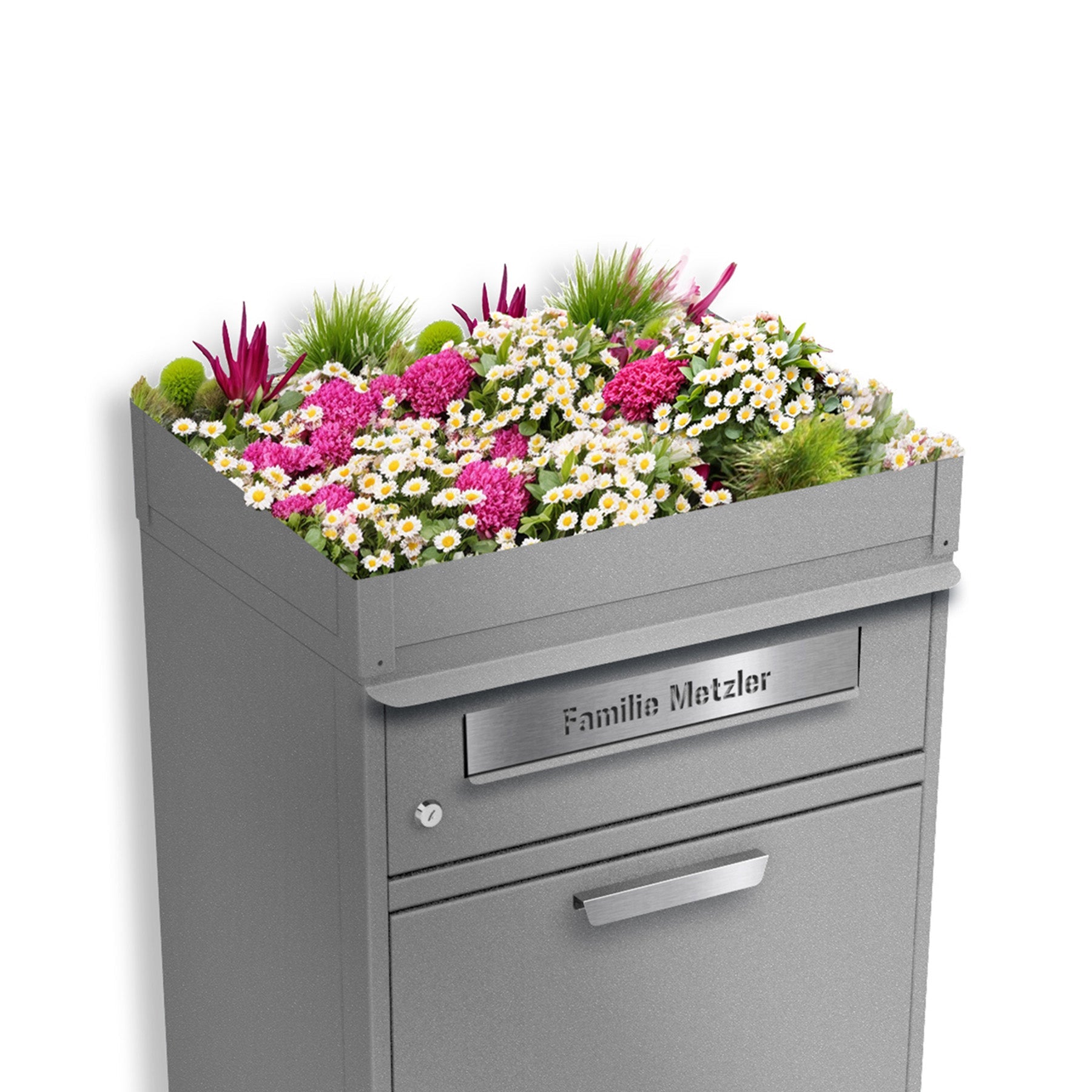 Metzler Pflanzdach für Paketbox | Dachbegrünung für Paketbriefkasten | für Modellreihe Bispo