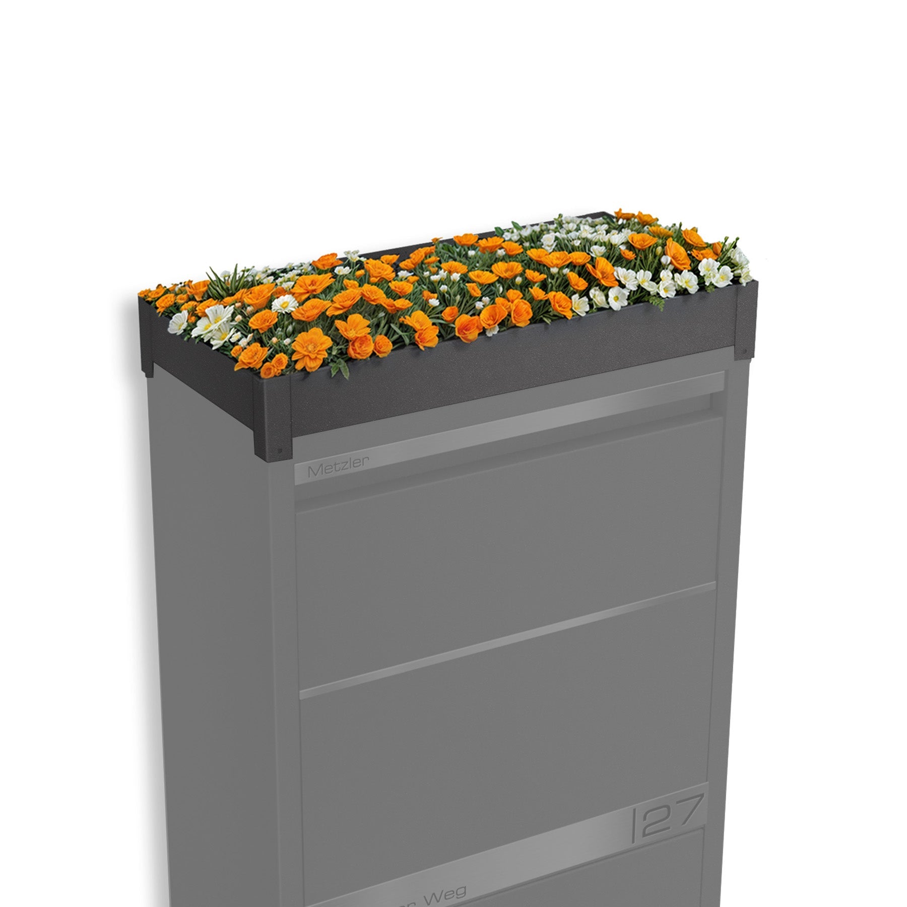 Metzler Pflanzdach | Dachbegrünung für Paketbox Modellreihe Avalon