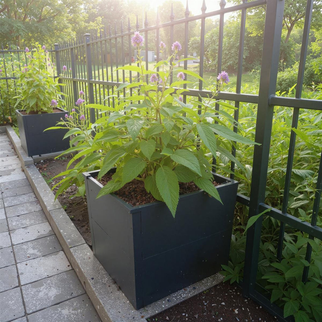 Metzler Hochbeet S für den Garten oder Balkon | 50 x 50 x 50 cm