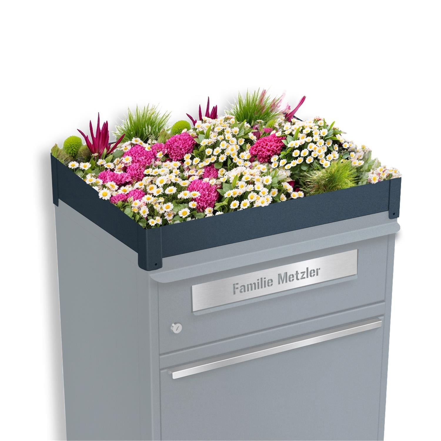 Metzler Pflanzdach für Paketbox | Anthrazit RAL 7016 | Dachbegrünung für Paketbriefkasten | für Modellreihe Bispo