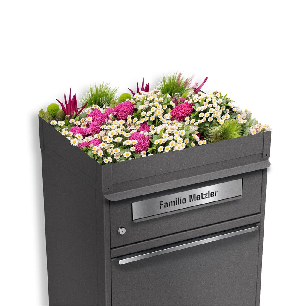 Metzler Pflanzdach für Paketbox | Dachbegrünung für Paketbriefkasten | für Modellreihe Bispo