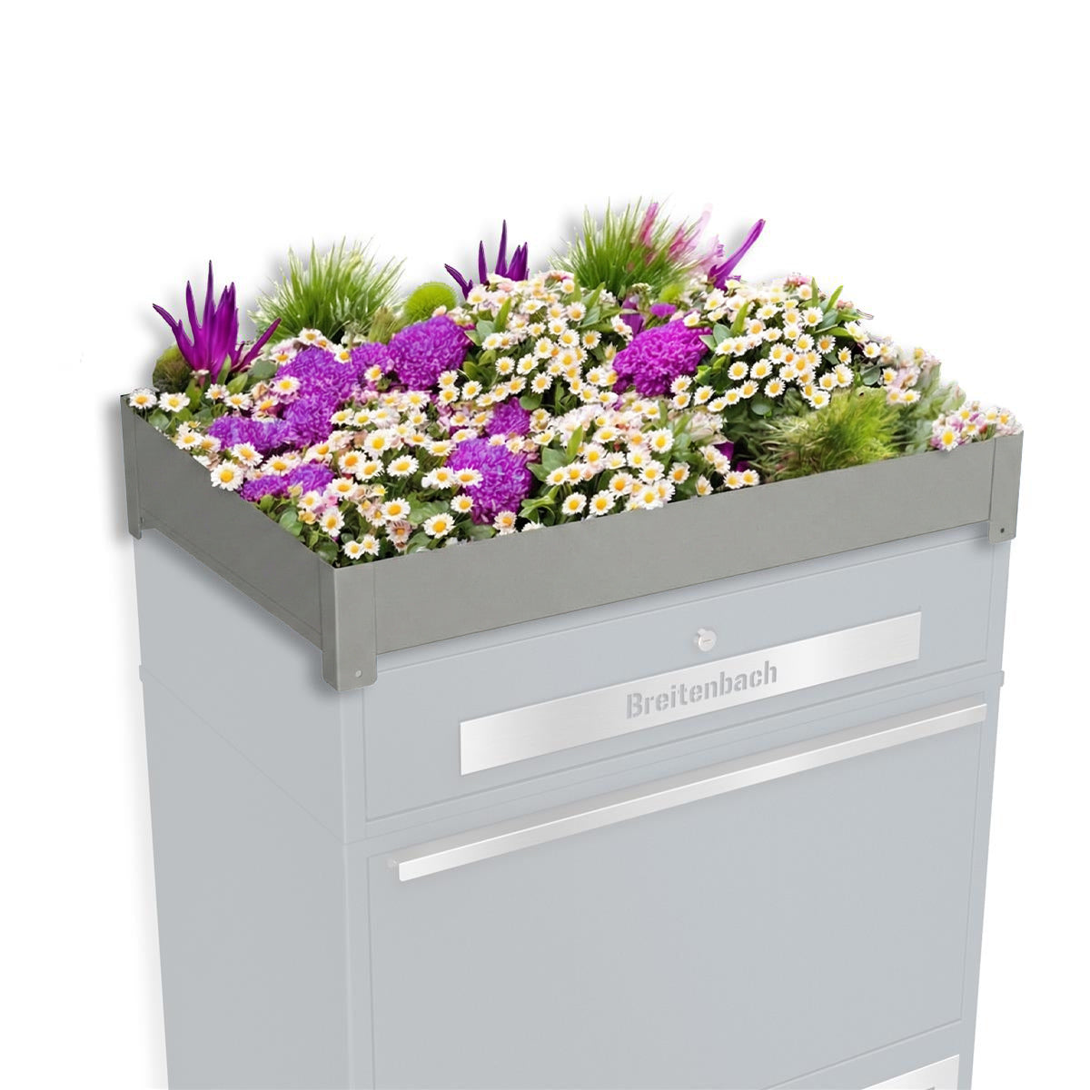 Metzler Pflanzdach für Ihre Paketbox | Dachbegrünung für Paketbriefkasten | für Modellreihe Bispo Max