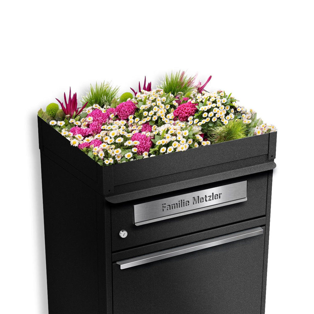 Metzler Pflanzdach für Paketbox | Dachbegrünung für Paketbriefkasten | für Modellreihe Bispo