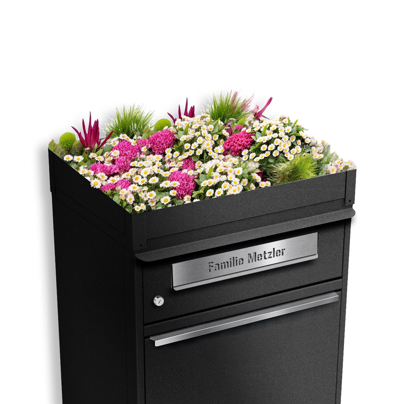 Metzler Pflanzdach für Paketbox | Dachbegrünung für Paketbriefkasten | für Modellreihe Bispo