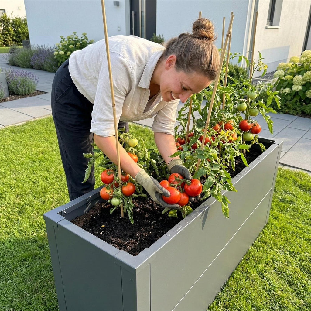 Metzler Hochbeet M für den Garten | kompakte Größe | RAL 7016 Anthrazitgrau | 25 x 100 x 52 cm