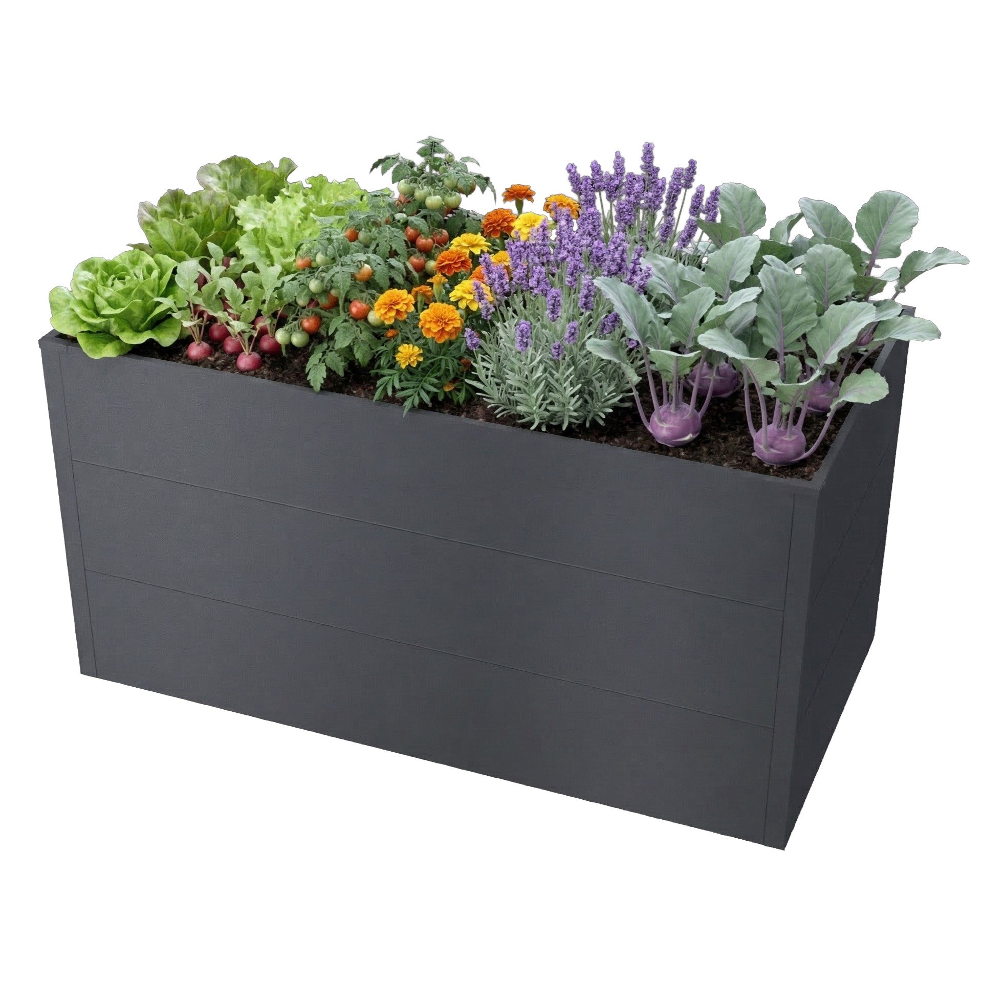 Metzler Hochbeet L für den Garten | Pulverbeschichtet | 150 x 75 x 77 cm