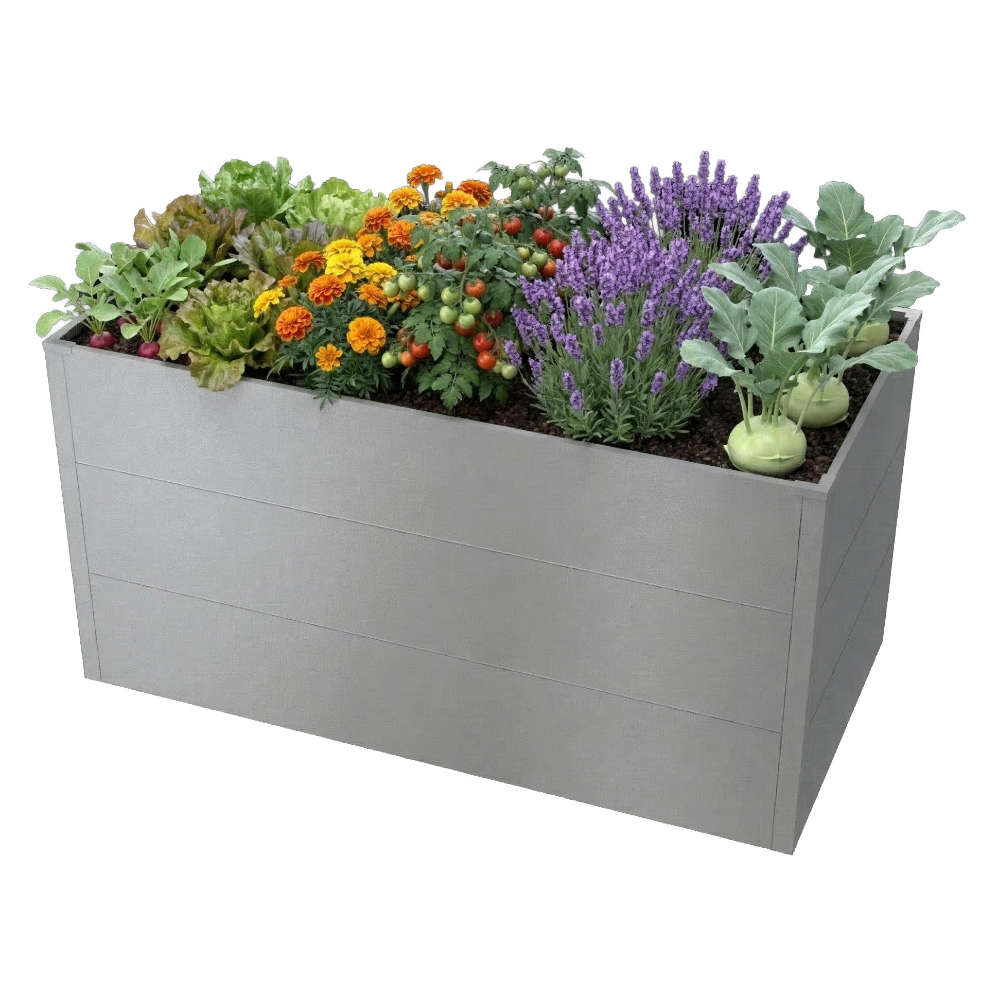 Metzler Hochbeet L für den Garten | Pulverbeschichtet | 150 x 75 x 77 cm