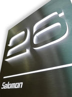 Metzler Türklingel Edelstahl Gegensprechanlage L-Tek Sprechmodul LED-Beleuchtung | Schneider